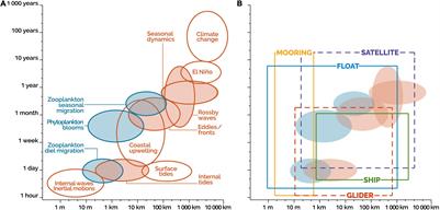 The Oceans’ Biological Carbon Pumps: Framework for a Research Observational Community Approach